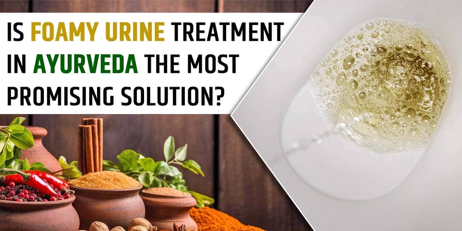 Foamy Urine Treatment in Ayurveda - Effective Solutions